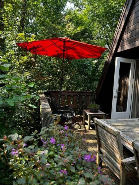 Chalet Woods 더뷔 외부 사진